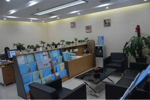 高碑店市農(nóng)村廁所改造工程標(biāo)書編制與工程咨詢服務(wù)方案